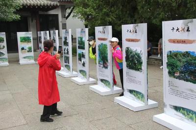第二届山东省森林文化周济南市森林文化周活动开幕暨《古树济南》首映仪式举行